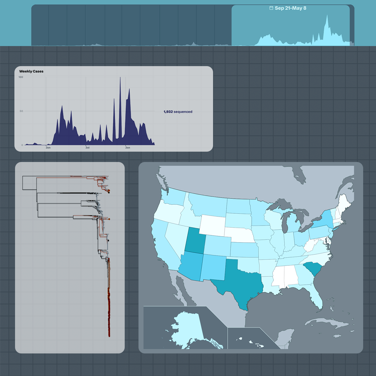 Screenshot of the Lookout site for Measles
